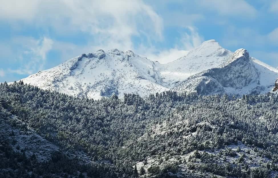 parque natural sierra de las nieves