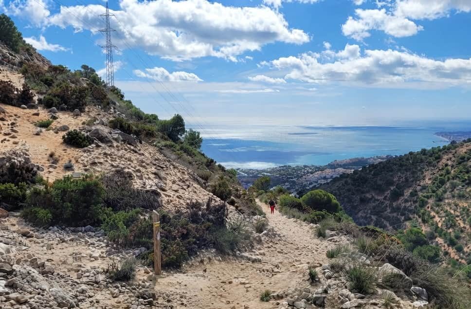 sendero de los leñadores